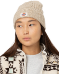 The Dickies Womens Hoxie Beanie in Whitecap Gray