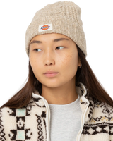 The Dickies Womens Hoxie Beanie in Whitecap Gray