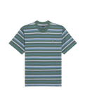 The Dickies Mens Glade Spring T-Shirt in Stripe Coronet