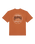 The Dickies Mens Stanardsville T-Shirt in Mocha Bisque