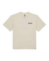 The Dickies Mens Beach T-Shirt in Whitecap Gray