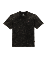 The Dickies Mens Newington T-Shirt in Acid Wash Black