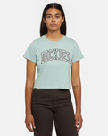 The Dickies Womens Aitken T-Shirt in Blue Surf