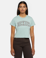 The Dickies Womens Aitken T-Shirt in Blue Surf