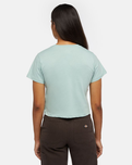 The Dickies Womens Aitken T-Shirt in Blue Surf