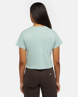 The Dickies Womens Aitken T-Shirt in Blue Surf