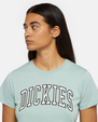 The Dickies Womens Aitken T-Shirt in Blue Surf