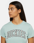 The Dickies Womens Aitken T-Shirt in Blue Surf