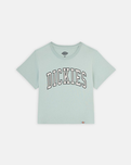 The Dickies Womens Aitken T-Shirt in Blue Surf