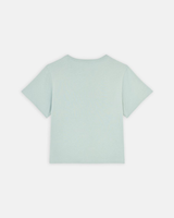 The Dickies Womens Aitken T-Shirt in Blue Surf