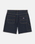 The Dickies Womens Herndon Shorts in Rinsed