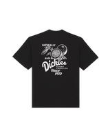 The Dickies Mens Raven T-Shirt in Black