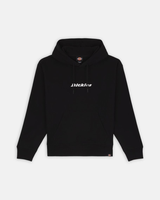 The Dickies Mens Enterprise Hoodie in Black