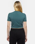 The Dickies Womens Globe T-Shirt in Lincoln Green