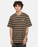 The Dickies Mens Stevensville Stripe T-Shirt in Mushroom