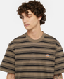 The Dickies Mens Stevensville Stripe T-Shirt in Mushroom