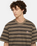 The Dickies Mens Stevensville Stripe T-Shirt in Mushroom