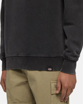 The Dickies Mens Plentywood Sweatshirt in Black