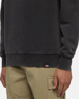 The Dickies Mens Plentywood Sweatshirt in Black