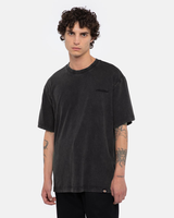 The Dickies Mens Plentywood T-Shirt in Acid Wash Black