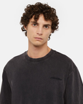 The Dickies Mens Plentywood T-Shirt in Acid Wash Black