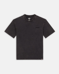 The Dickies Mens Plentywood T-Shirt in Acid Wash Black