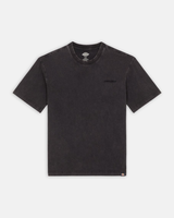 The Dickies Mens Plentywood T-Shirt in Acid Wash Black