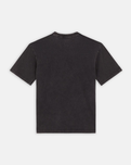 The Dickies Mens Plentywood T-Shirt in Acid Wash Black