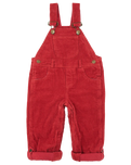 Boys Chunky Muted Dungarees in Robin