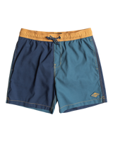 The Billabong Boys Boys All Day Interchange Volley Shorts in Denim Blue