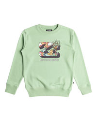 The Billabong Boys Boys Foundation Sweatshirt in Matcha