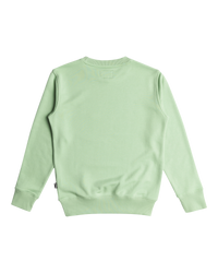 The Billabong Boys Boys Foundation Sweatshirt in Matcha