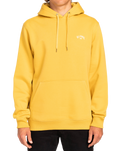 The Billabong Mens Arch Hoodie in Sunny