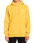 The Billabong Mens Arch Hoodie in Sunny