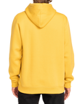 The Billabong Mens Arch Hoodie in Sunny