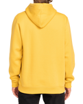 The Billabong Mens Arch Hoodie in Sunny