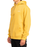 The Billabong Mens Arch Hoodie in Sunny