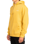 The Billabong Mens Arch Hoodie in Sunny