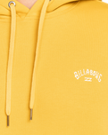 The Billabong Mens Arch Hoodie in Sunny