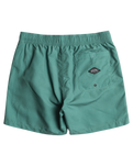 All Day Heritage Layback Volley Shorts in Jade