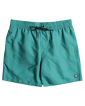 All Day Layback Swimshorts in Sea Green