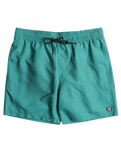 All Day Layback Swimshorts in Sea Green