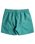 All Day Layback Swimshorts in Sea Green