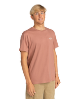 The Billabong Mens Arch T-Shirt in Rosewood