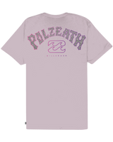 The Billabong Mens Polzeath Arch T-Shirt in Llilac