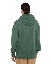 The Element Mens Cornell 3.0 Hoodie in Garden Topiary