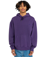 The Element Mens Cornell 3.0 Hoodie in Grape