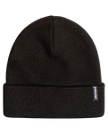 The Element Mens Dusk Low Beanie in Flint Black