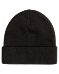 The Element Mens Dusk Low Beanie in Flint Black