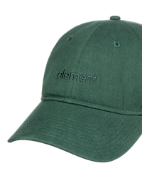 The Element Mens Fluky 3.0 Cap in Garden Topiary